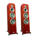Акустична система Taga Harmony Diamond F-200 Real Wood Rosewood Veneer Акустична система Taga Harmony Diamond F-200 Real Wood Rosewood Veneer