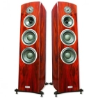 Акустична система Taga Harmony Diamond F-200 Real Wood Rosewood Veneer Акустична система Taga Harmony Diamond F-200 Real Wood Rosewood Veneer