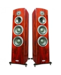Акустическая система Taga Harmony Diamond F-200 Real Wood Rosewood Veneer