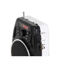 Універсальна радіосистема з головним мікрофоном IBIZA PORT3-UHF