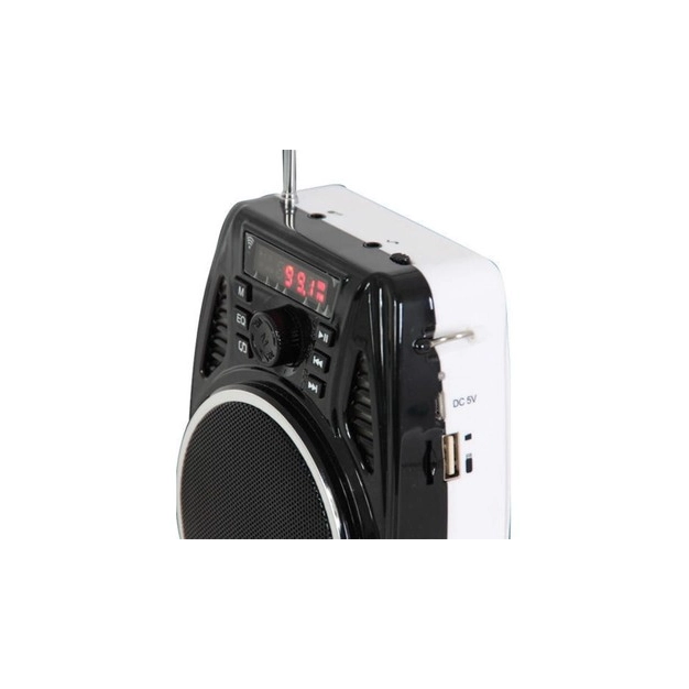 Універсальна радіосистема з головним мікрофоном IBIZA PORT3-UHF