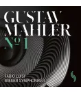 Вініловий диск LP WSLP 001 (Wiener Symphoniker - Mahler1)