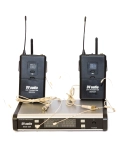Радіосистема DV audio BGX-224 Dual з гарнітурами