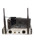 Радіосистема DV audio BGX-224 Dual з гарнітурами