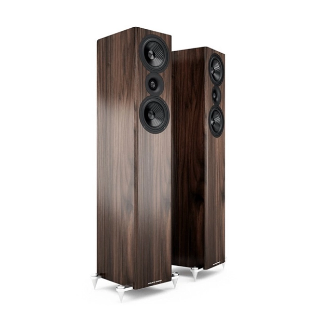 Підлогова акустика Acoustic Energy AE 509