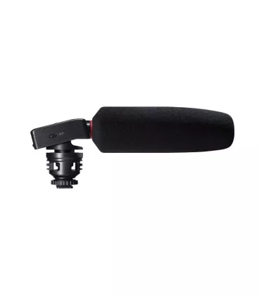 Аудіо-рекордер Tascam DR-10SG з мікрофоном-гарматою