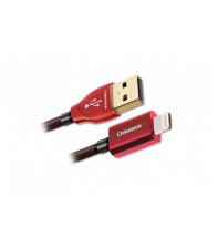 USB кабель AudioQuest Cinnamon USB- Lightning 0.75 м