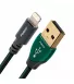 USB кабель AudioQuest USB FOREST Lightning 0.75 м