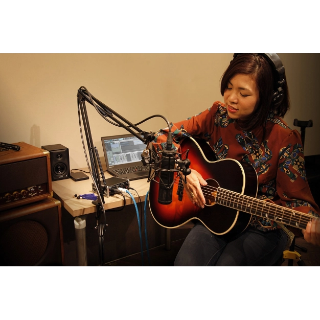 Настільна мікрофонна стійка-пантограф TM-AM2 Tascam Настільна мікрофонна стійка-пантограф TM-AM2 Tascam