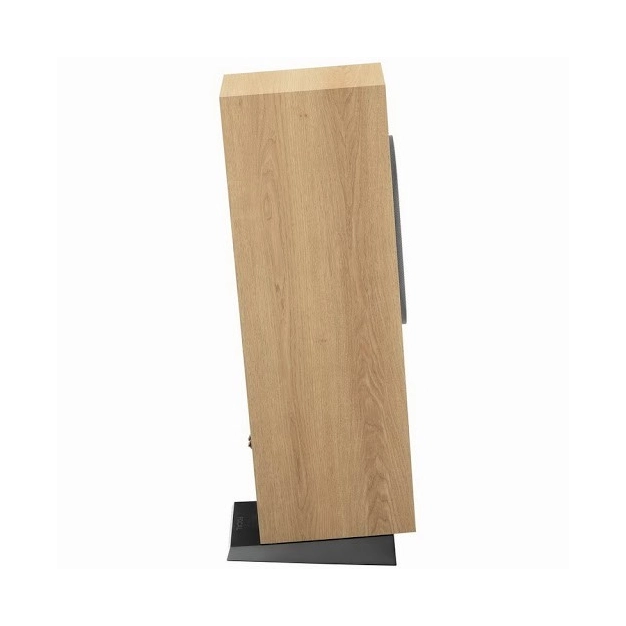 Підлогова акустика Focal Chora 816