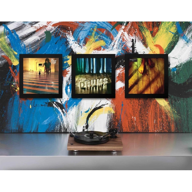 Рамка для вінілу Pro-Ject ART VINYL для LP (3 шт.) Black