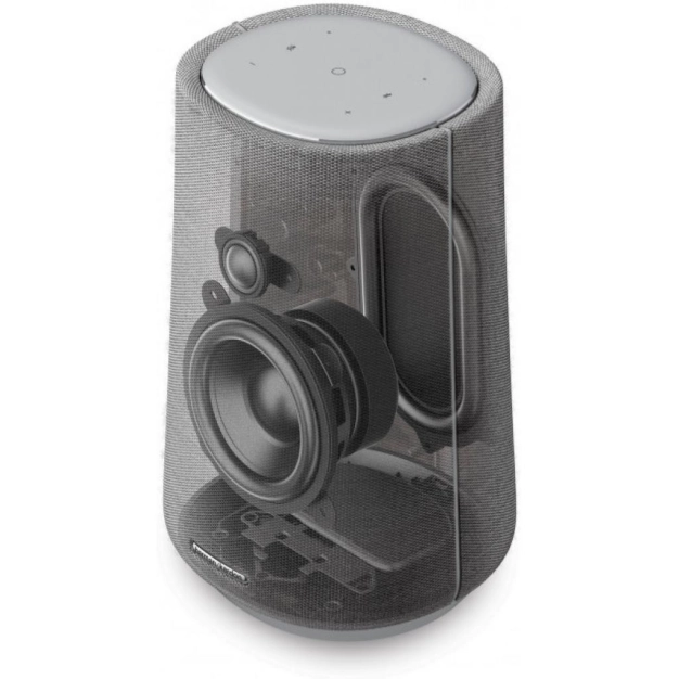Акустична система Harman/Kardon HKCITA100MKIIGRYEU
