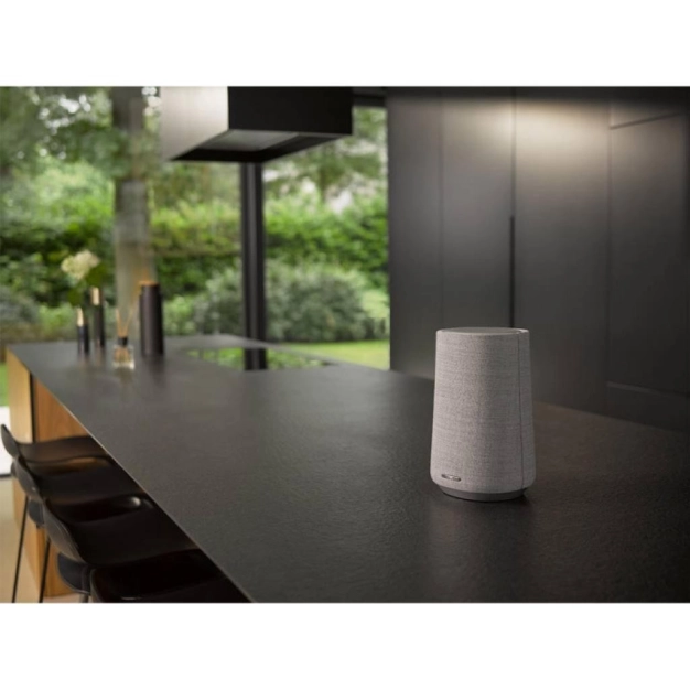 Акустична система Harman/Kardon HKCITA100MKIIGRYEU