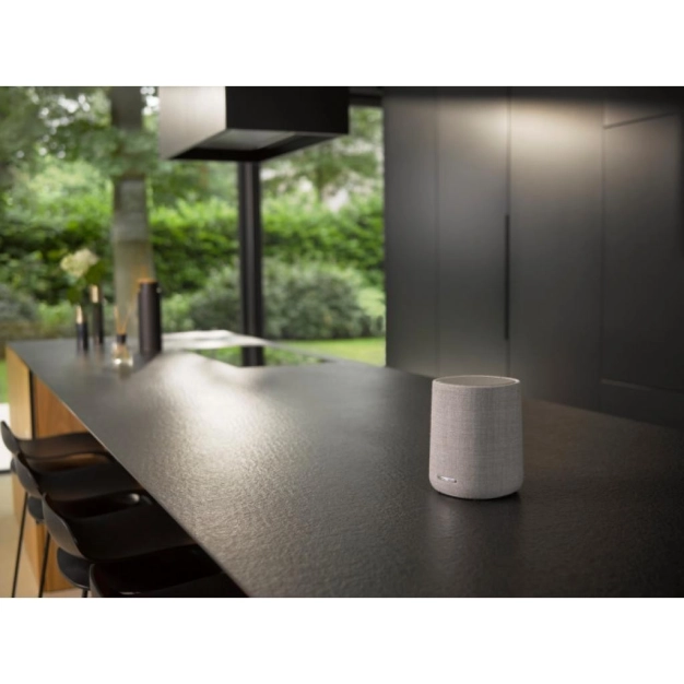 Акустична система Harman/Kardon HKCITAONEMKIIGRYEU