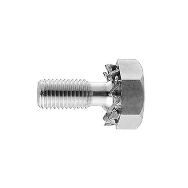 Bolt with self-locking nut WBT-9102