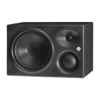 Акустична система Neumann KH 310 DRG