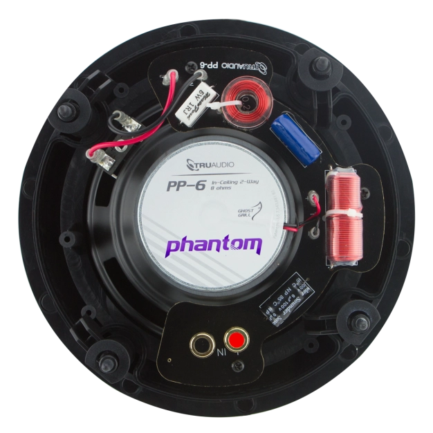 Вбудована акустика TruAudio PP-6