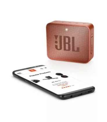 Портативний Bluetooth-динамік JBL Multimedia Go 2 Sunkissed Cinnamon