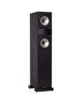 Акустика підлогова Fyne Audio F303 Black Ash