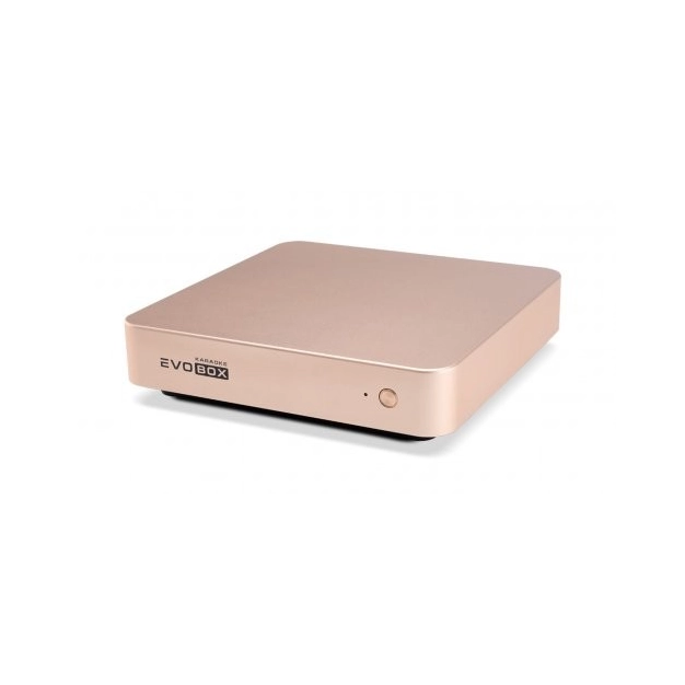 Караоке-система для дому Evolution EVOBOX Plus Gold Караоке-система для дому Evolution EVOBOX Plus Gold