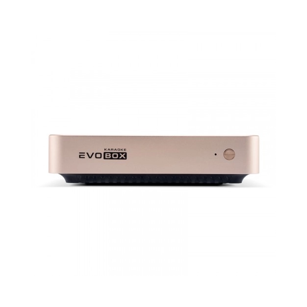 Караоке-система для дому Evolution EVOBOX Plus Gold Караоке-система для дому Evolution EVOBOX Plus Gold