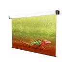 Проекційний екран Sopar Platinum 280x210 Проекційний екран Sopar Platinum 280x210