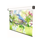 Проекційний екран Sopar Electric Professional 350x218 Проекційний екран Sopar Electric Professional 350x218