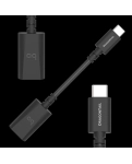 Адаптер AUDIOQUEST acc DRAGON TAIL USB-C для ANDROID