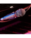 Vocal microphone Audio-Technica AE6100