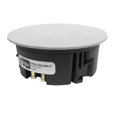 Вбудована акустика TruAudio THIN-CEILING-P Black