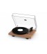 Pro-Ject Debut Carbon EVO 2M-Red Satin Walnut