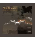 Вініловий диск LP Friedemann: Echoes Of A Shattered Sky