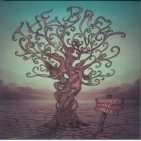 Вініловий диск LP Brew: Shake The Tree