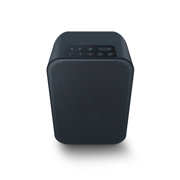 Бездротова акустика Bluesound PULSE FLEX 2i Wireless Streaming Speaker Black