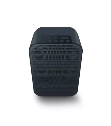 Бездротова акустика Bluesound PULSE FLEX 2i Wireless Streaming Speaker Black