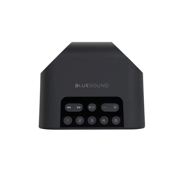 Бездротова акустика Bluesound PULSE FLEX 2i Wireless Streaming Speaker Black