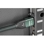 HDMI-кабель AudioQuest HDMI Forest active 12.5 м HDMI-кабель AudioQuest HDMI Forest active 12.5 м
