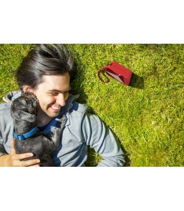 Акустична система Philips BT110R Red Акустична система Philips BT110R Red