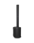 Portable acoustics Behringer C210