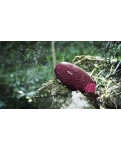 Акустична система Philips BT6900P Purple