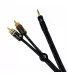 Готовий аудіо кабель Daddario PW-MP-05 Audio Cable Mini Jack - 2RCA