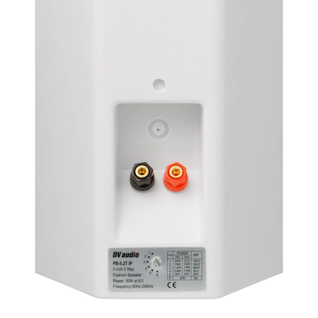 Настінна акустична система DV audio PB-5.2T IP White