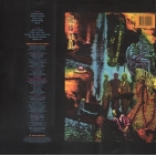 Вініловий диск LP Santana: Beyond Appearances-Hq (180g)