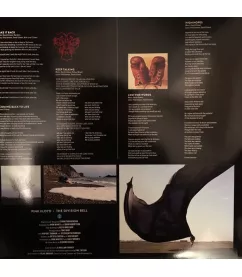 Вініловий диск 2LP Pink Floyd: The Division Bell