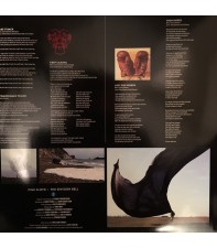 Виниловый диск 2LP Pink Floyd: The Division Bell