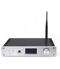 Цифровой интегральный усилитель FX-Audio D2160 Silver