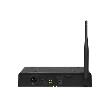 Радіосистема DV audio PGX-124 MKII