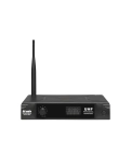 Радіосистема DV audio BGX-124 MKII з гарнітурою