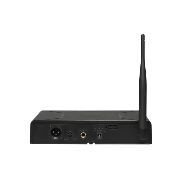 Радіосистема DV audio BGX-124 MKII з гарнітурою