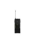 Радіосистема DV audio BGX-124 MKII з гарнітурою